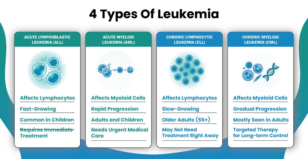 An infographic illustrating four types of leukemia, including Acute Lymphoblastic Leukemia, Acute Myeloid Leukemia, Chronic Lymphocytic Leukemia, and Chronic Myeloid Leukemia, with corresponding cellular illustrations for each type.